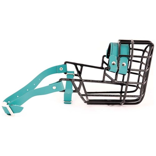 ch3538 - Pit Bull Terrier pies Biothane  bok