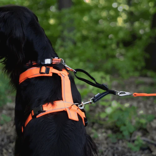 5923600171 - Adapter odblaskowy pies