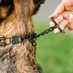 5008201457 - Kolczatka stał nierdzewna  czarna z uchwytem HS  pies