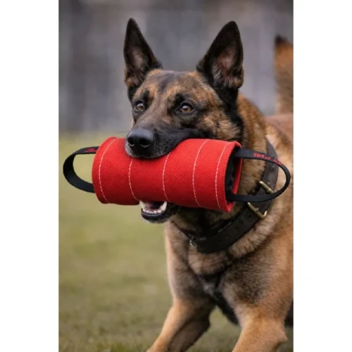 ZPvalec - Walec ringowy trening