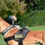 Podwójna smycz PATROL ZP - 21220007ZP zapięta smycz
