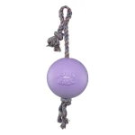 JOLL050M - Jolly Romp-n-Roll Violett