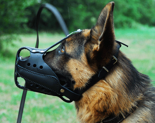 1002 - Kaganiec bojowy ze skóry- średni na ON