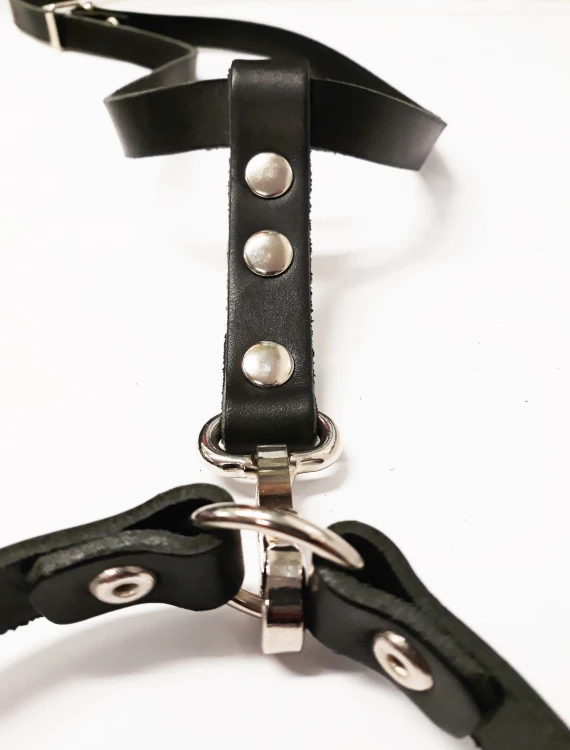 0511 - Szelki na ślady ze skóry widok