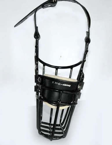 536ch - Collie Basset Belgijski Owczarek pies