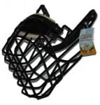 781ch - Amerykański Cocker Spaniel suka widok