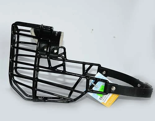 539ch - Rodezjan suka bok