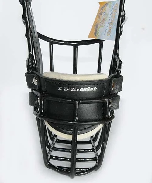 535ch - Collie Basset Belgijski Owczarek suka góra