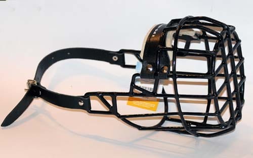 529ch - Bokser Shar pei suka