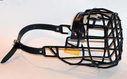 529ch - Bokser Shar pei suka