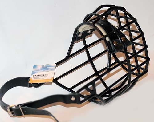 530ch - Bokser Shar pei pies