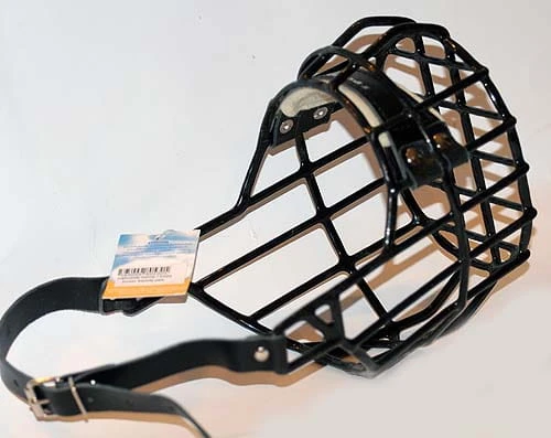 530ch - Bokser Shar pei pies