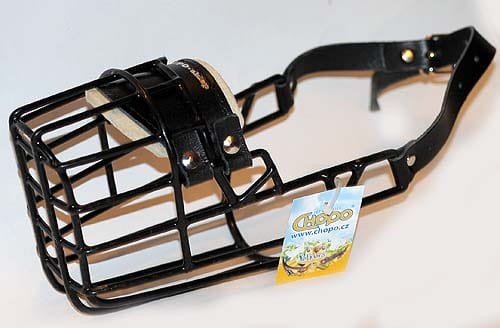 531ch -Doberman Bauceron suka