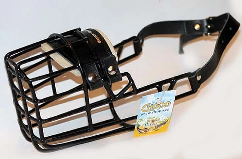 531ch -Doberman Bauceron suka