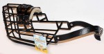 531ch -Doberman Bauceron suka bok