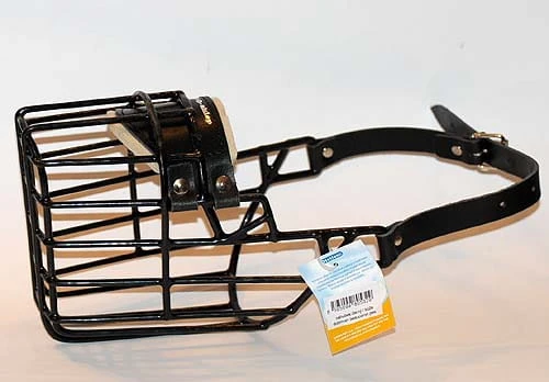 532ch - Doberman Bauceron pies bok