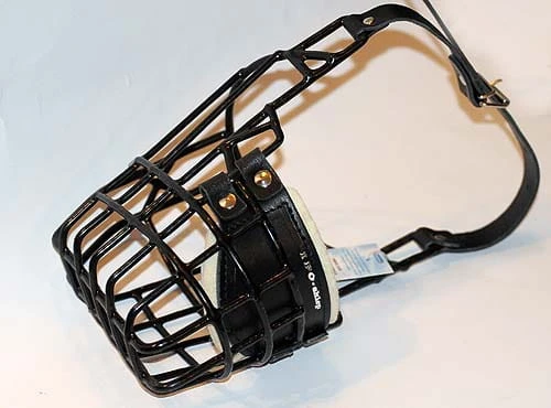 521ch - Owczarek Niemiecki średni bok