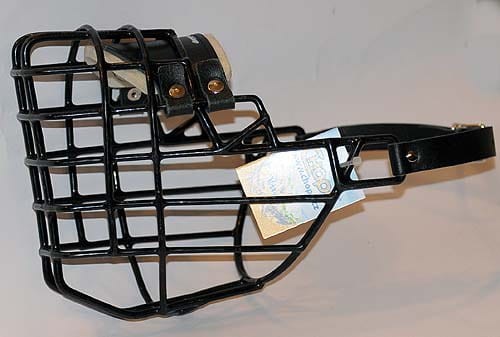 521ch - Owczarek Niemiecki średni