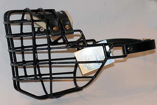 521ch - Owczarek Niemiecki średni