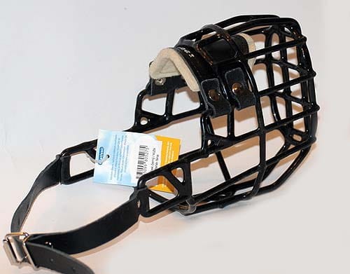 527ch - Bullterier suka