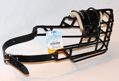 525ch - Dalmatyńczyk Hasky Labrador suka