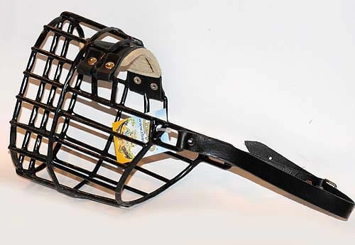 570ch - Nowofundland Bernardyn pies bok