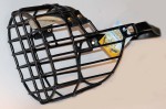 570ch - Nowofundland Bernardyn pies bok prawy