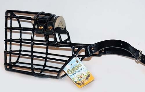 534ch - Airedale Terrier pies