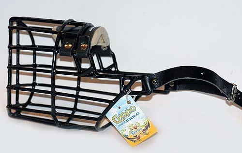 534ch - Airedale Terrier pies