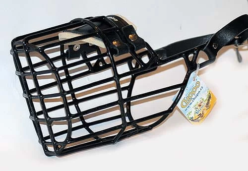 534ch - Airedale Terrier  pies bok