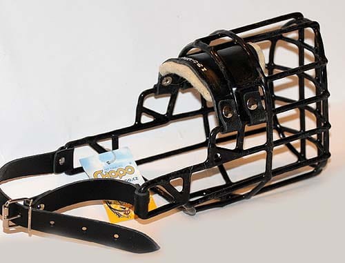 ch-533 - Airedale Terrier skóra - suka