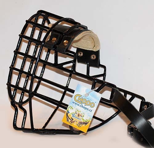 564ch - Sznaucer Olbrzym Briard Bobtail pies