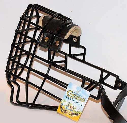 564ch - Sznaucer Olbrzym Briard Bobtail pies bok2