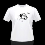 d4mboxer - T-SHIRT z bokserem model