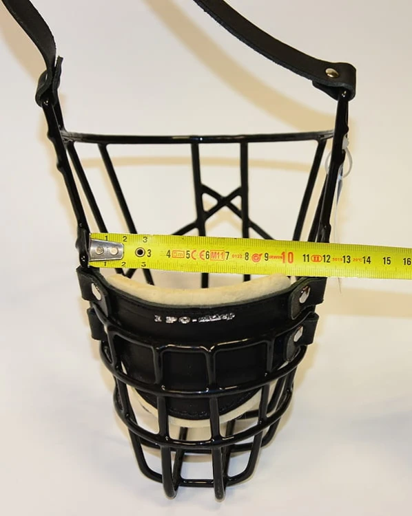 521ch - Owczarek Niemiecki średni góra1