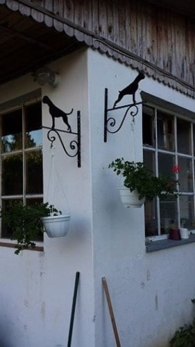 dog2 - Wieszak 2 widok