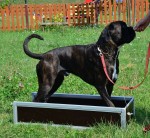 Schm-1 - Box treningowy 1 częściowy widok1