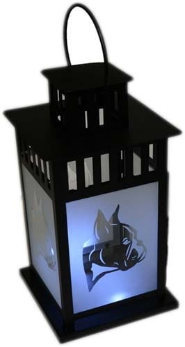 DLLb - Latarenka bokser