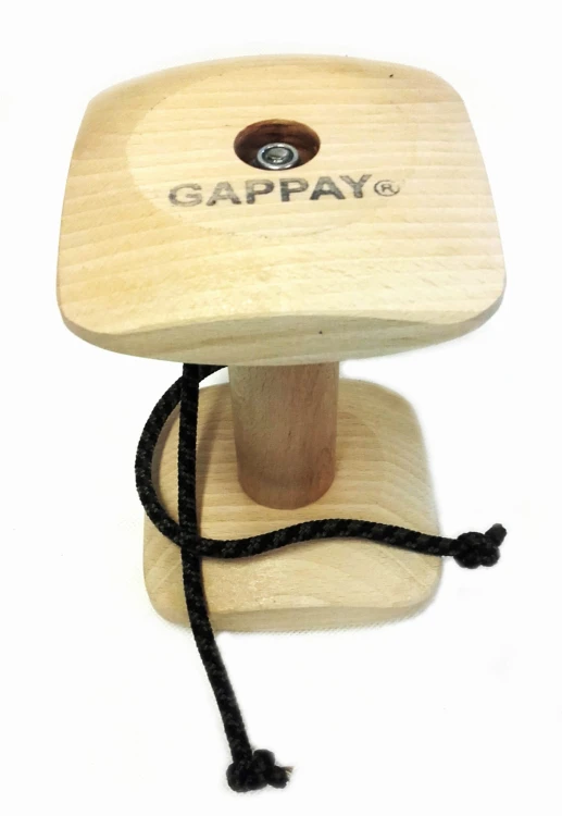 0954 - Aport treningowy ze sznurkami GAPPAY