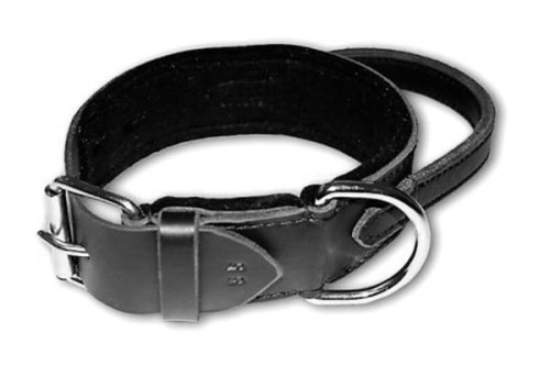 Sch645411 - obroża z uchwytem 5cm