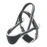 75467621a - Szelki Ergocomfort NORDIC2