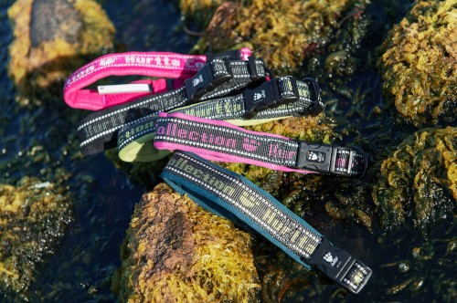 930HT - Obroża Padded HT widok