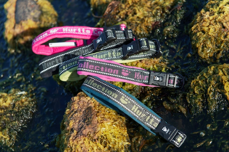 930HT - Obroża Padded HT widok