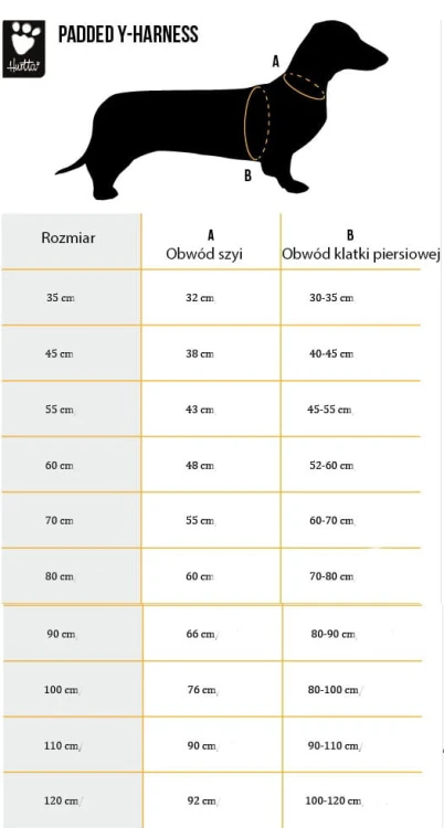 9322HT- HT Szelki Up Padded Y widok tabela