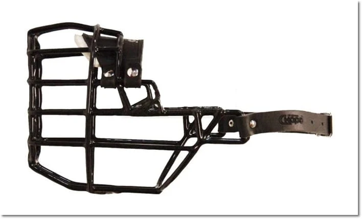 529ch - Bokser Shar pei suka bok2