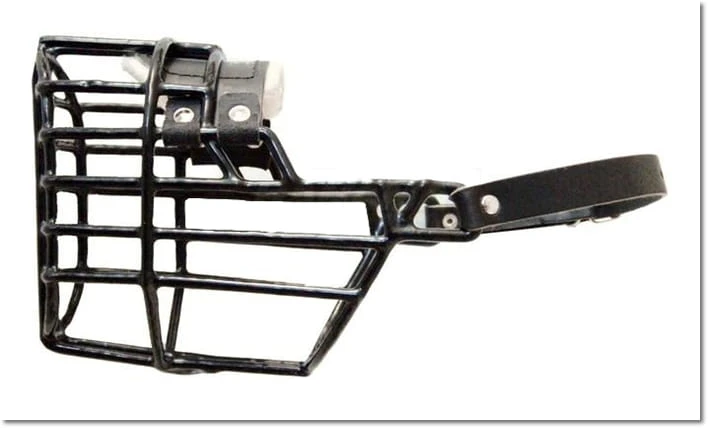 532ch - Doberman Bauceron pies bok2