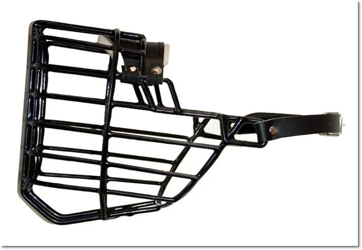 521ch - Owczarek Niemiecki średni boki