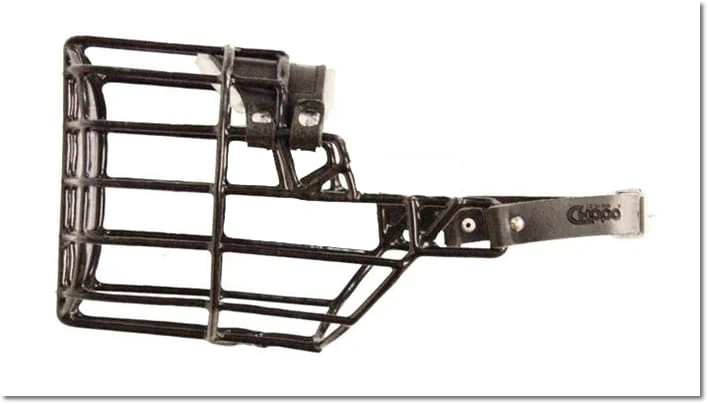 534ch - Airedale Terrier pies bok2