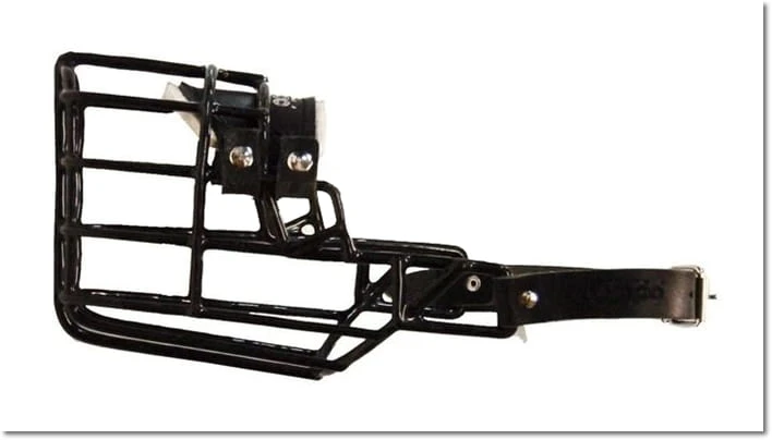 535ch - Collie Basset Belgijski Owczarek suka bok