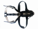 ZP1710002S